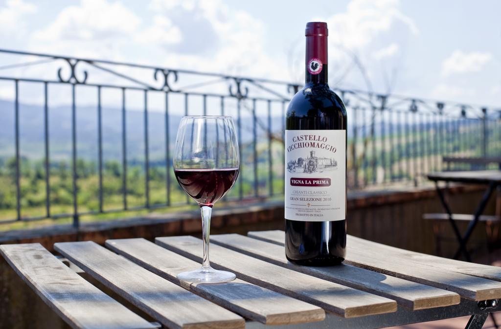 Castello Vicchiomaggio Villa Greve in Chianti Kültér fotó